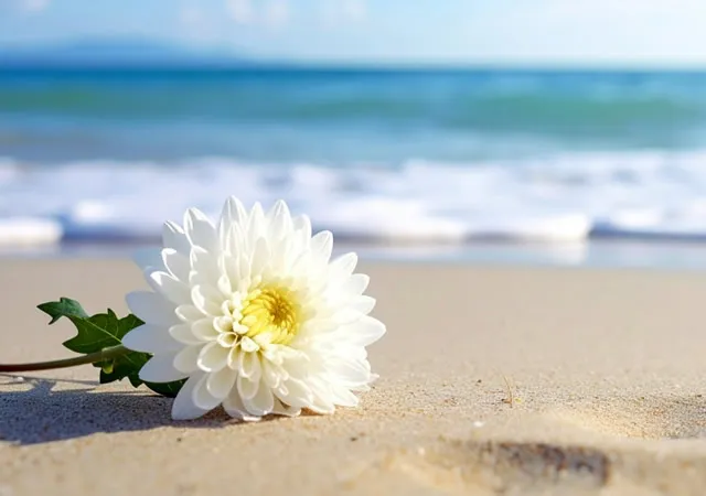 Seebestattung Seebestattung